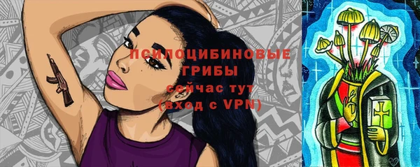 метадон Лагань
