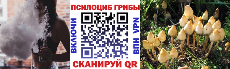 Галлюциногенные грибы прущие грибы  наркошоп  Сорск 